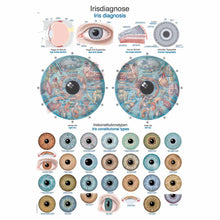 Anatomische Lehrtafel: viele Irisfotos und Schemaquerschnitte zur Irisdiagnose