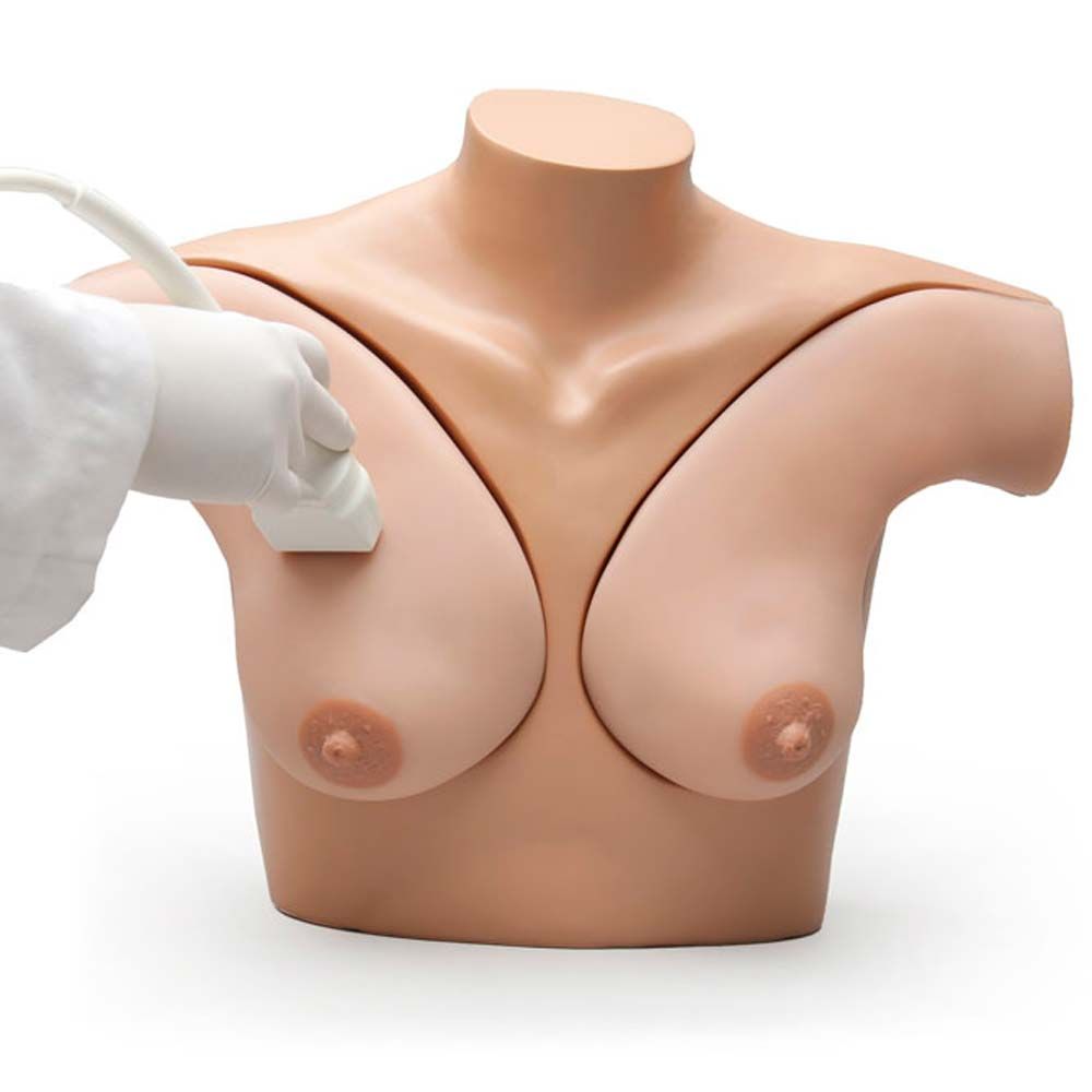 Erler Zimmer Brustphantomsimulator mit realistischem Brustgewebe und Nippeln