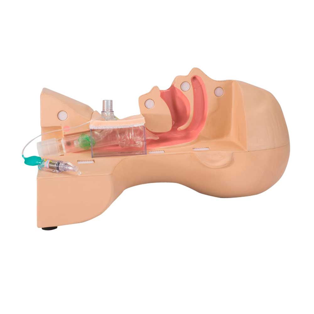 Tracheostomie-Trainingssimulator mit offenem Stoma und Kanüle