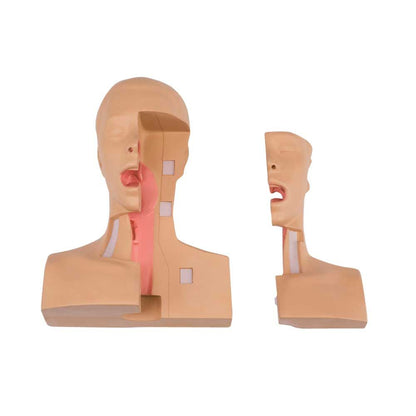 Tracheostomie-Trainingssimulator, Front- und Seitenansicht mit Stoma am Hals