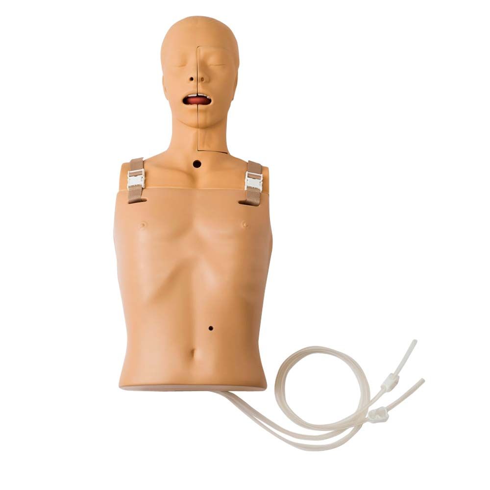 Erler Zimmer Übungsmodell, Torso mit Nasen-/Magensonde und Schlauch-Set