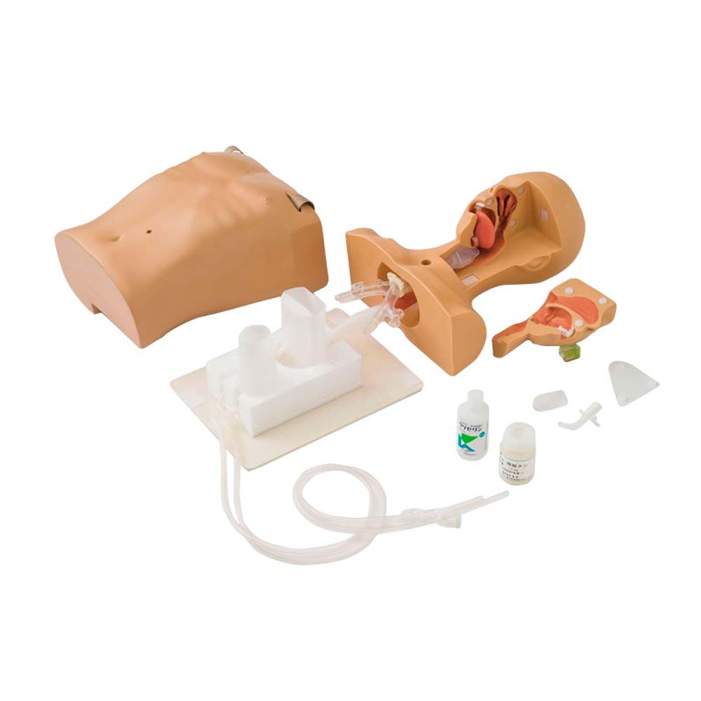 Erler Zimmer Übungsmodell mit Trainingsaufsatz, Sonde, Schläuchen und Zubehör