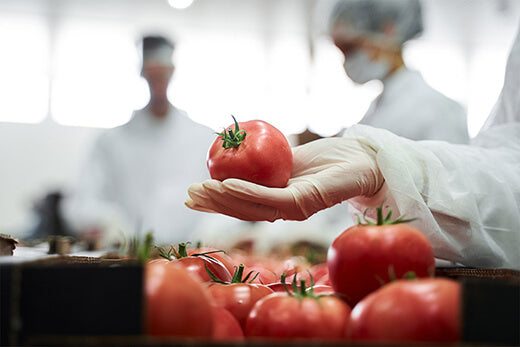 A person in the food industry wearing Vitril gloves